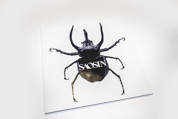 saosin1