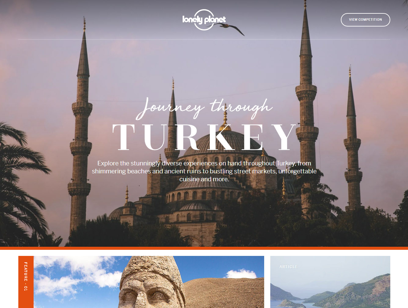 turkey1